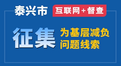 泰兴市互联网+督查