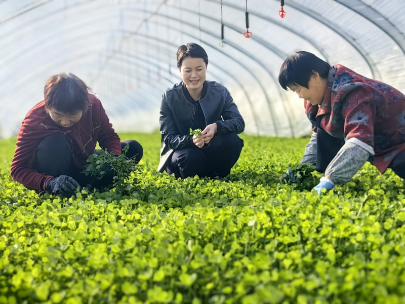 6cd88ce9a55d290fb671727f0c63e7cb