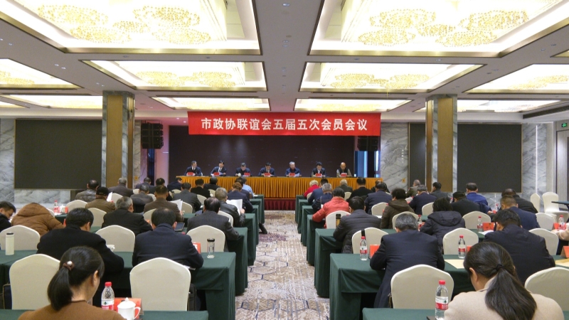 市政协第五届联谊会召开第五次会议